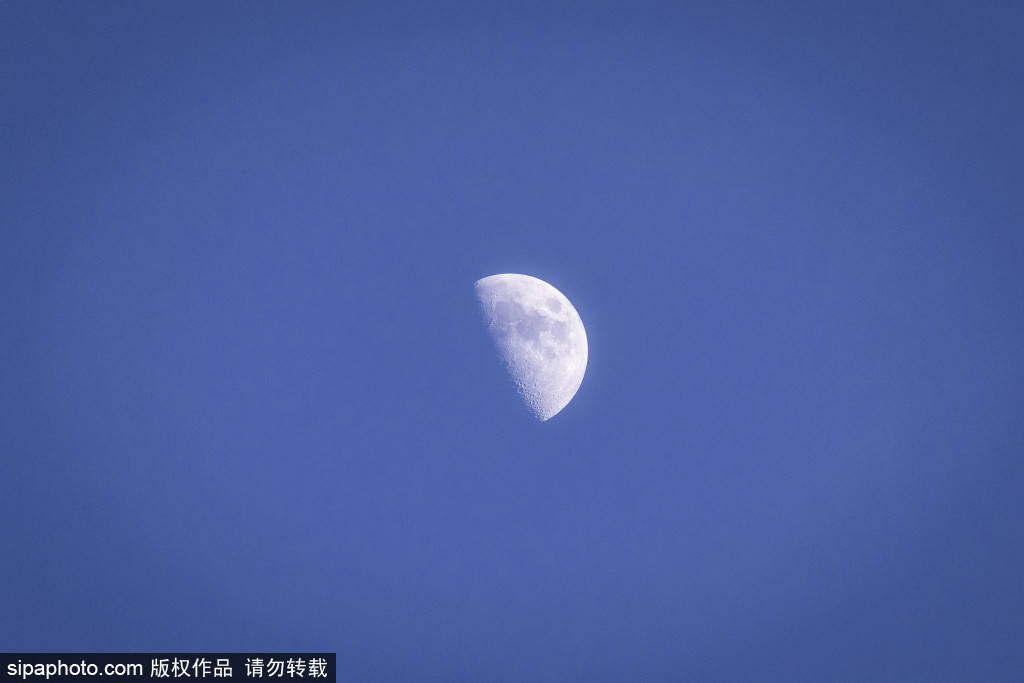 ข้อมูลเผย: แนวรับของเรอัล มาดริด ถล่ม ผลงานแย่ที่สุด 5 ปี นำไปสู่การขาดแคลนแชมป์เปี้ยน! _Defense_Season_Trops