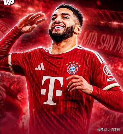 文章配图-8